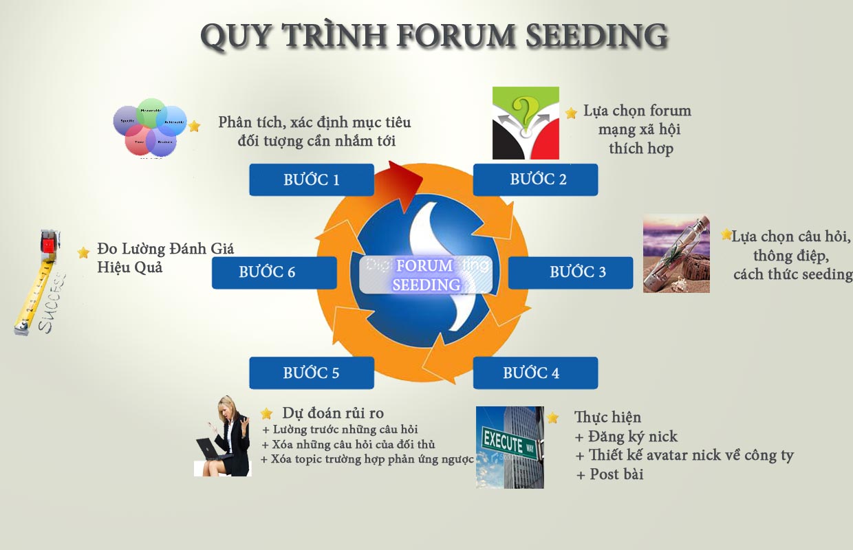 forum-seeding-quy-trinh.jpg